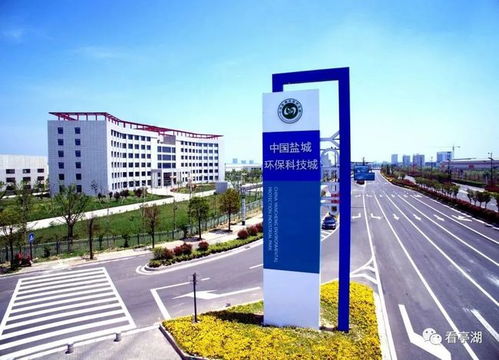 綠色化 高端化 特色化 亭湖產業體系加快提升